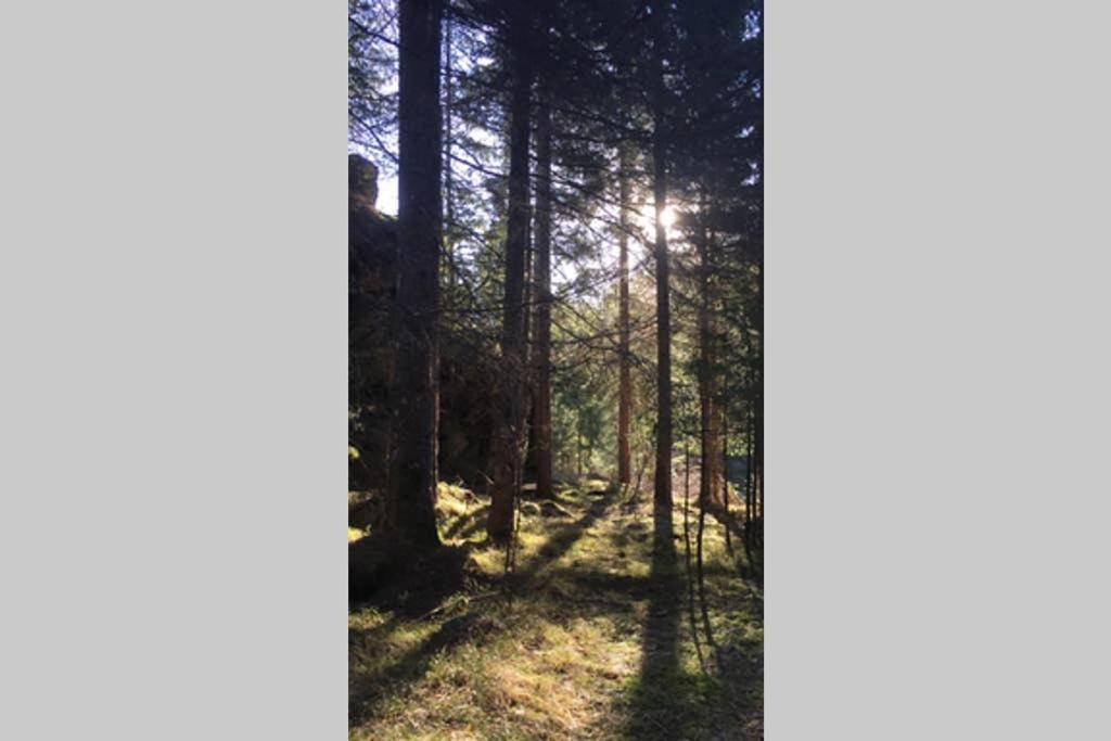 Gemuetliches Ferienhaus Am Waldrand Tröpolach Eksteriør billede